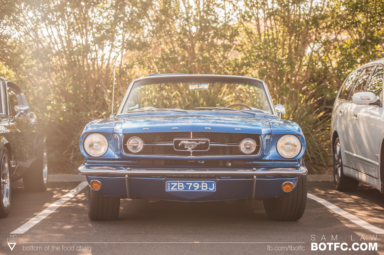 Mustang Blue RollingStock